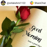 srinu p