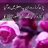 Ateeb Awan