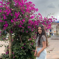 SHARON ADRIANA PONCE DE LEON CALLER