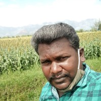 kannan R