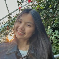 Thu Vi