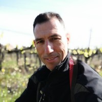 Claudio Lotti