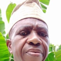 Olufemi Adeshola