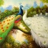 swetha swe