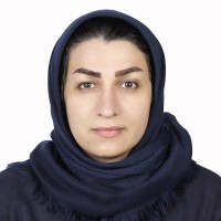 Saeideh Hojat Shamami