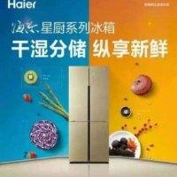 柴志红