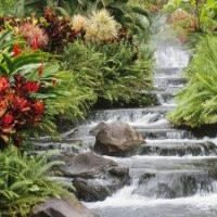 Alexander Leka Buçaj