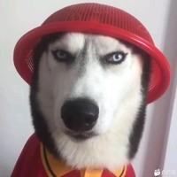 高志鹏