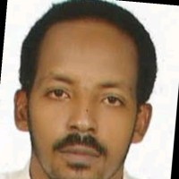 Ahmed Basheir