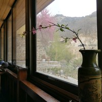 王丽丽