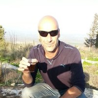 Doron Shalem
