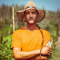 Dr. Giorgio Indraccolo