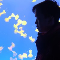 Lim Chourchhay