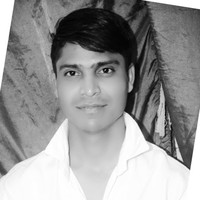 Ravi Palaia