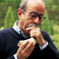 Matthias Bertram