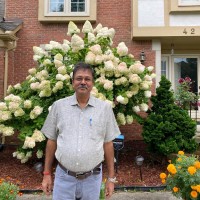 Dr. Navin Kumar