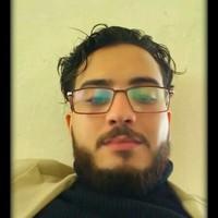Ali Alameer