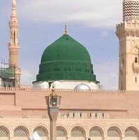 Mohammad Ariful Islam