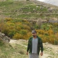 Nasser Jamshidi