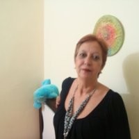 sonia machado torres