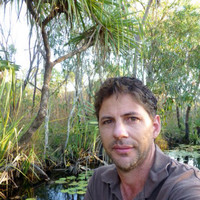 Tom Vigilante