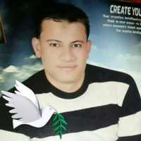 محمد كامل