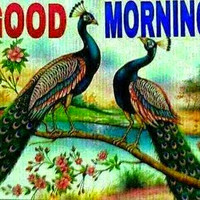 Girdhari Jangid
