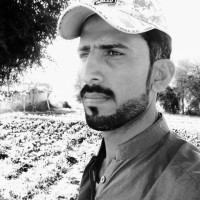 Nadar Ali Magsi