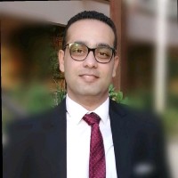 Bishoy G Rizk