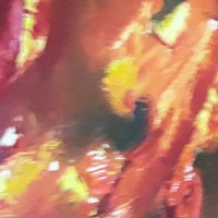 Maria Cristina Di Fini