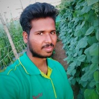 H Manjunatha