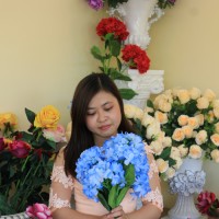 Hoa Nguyen