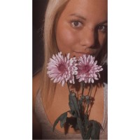 Kate Wiles, Msw