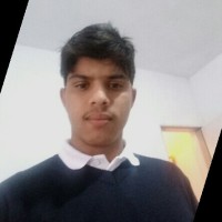Rafael Nunes Araujo Lessa