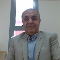Ibrahim Bashayreh