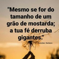 Daniel Amorim Silva