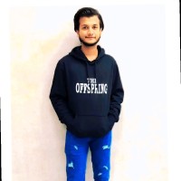 Salman Ansari