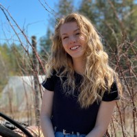 Anna Davis-Noe