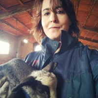 Pepa Vidal Català
