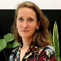 Julia Wolff