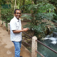 BENEDICT K SASHI KUMAR
