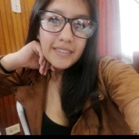 Nicoll Daniela Pérez Araque