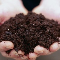 SaveSoil Nirmal