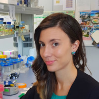 Maria Luisa Domingo Calap