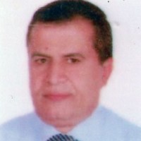 Osama El Meligy
