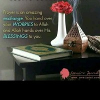 Muhammad Shahzad