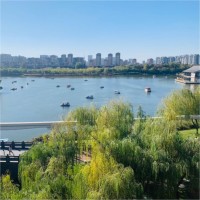 王旭东