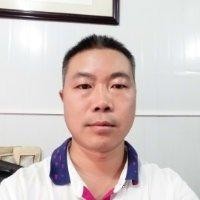 段树刚