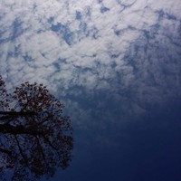 何元辉