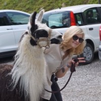 Martina Collarini